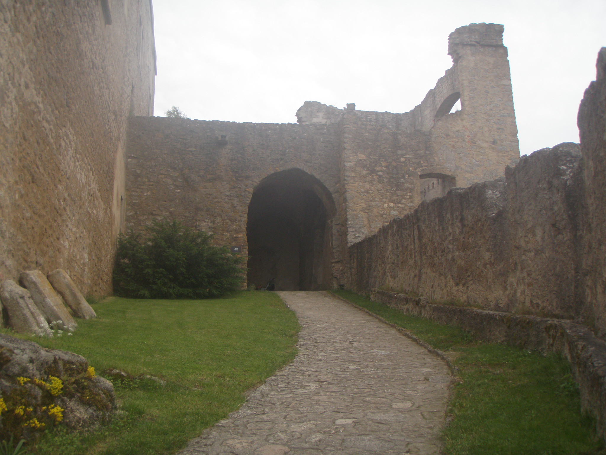 P6180096